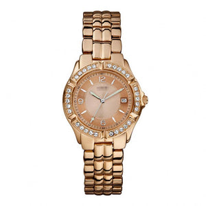 Wholesale Stainless Steel Women W0148L3 Watch