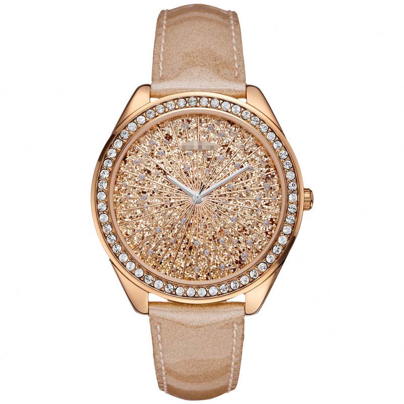 Wholesale Stainless Steel Women W0155L1 Watch