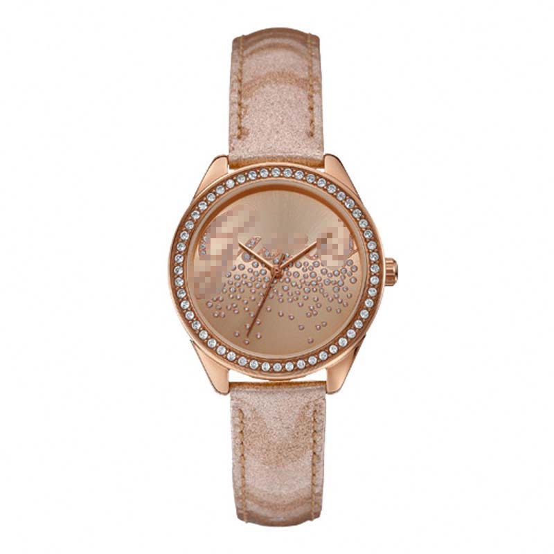 Wholesale Stainless Steel Women W0161L1 Watch