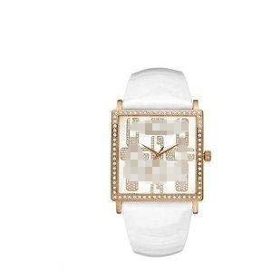 Wholesale Stainless Steel Women W10547L1 Watch