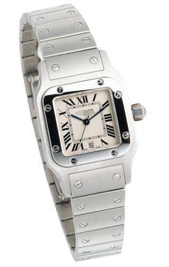 Custom Stainless Steel Men W20060D6 Watch