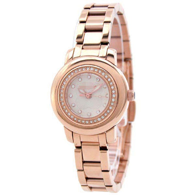 Custom Stainless Steel Women WF0B036BSS Watch