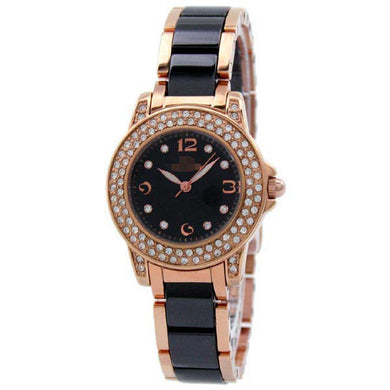 Custom Stainless Steel Women WF0B048BSK Watch