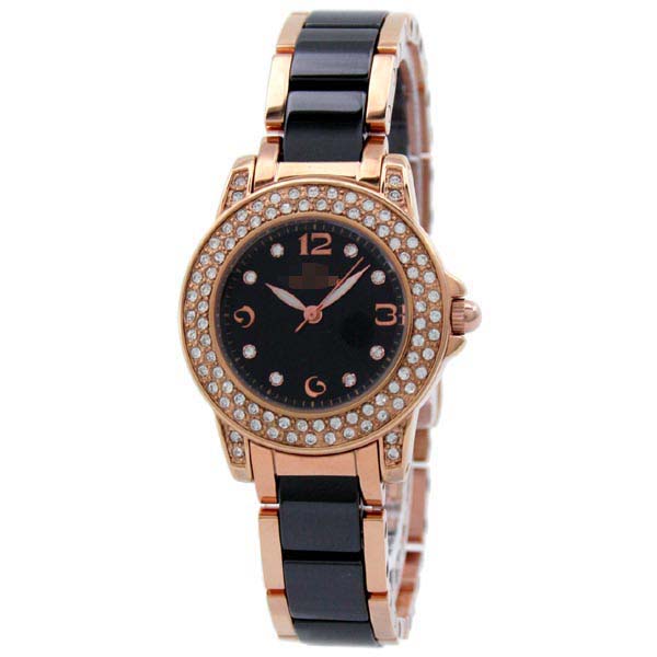 Custom Stainless Steel Women WF0B048BSK Watch