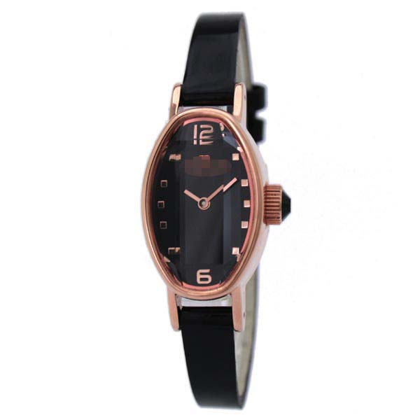 Custom Stainless Steel Women WF9R009SPK-BK Watch