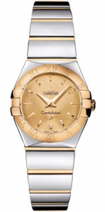 Customised Mother Of Pearl Watch Dial 123.20.24.60.55.001