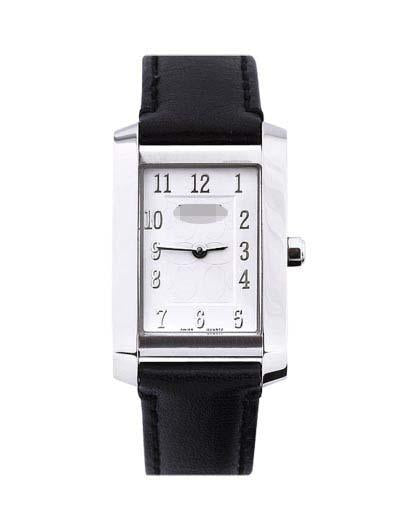 Custom Leather Watch Straps 14500948