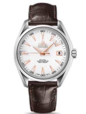 Customised Silver Watch Dial 231.13.42.21.02.002