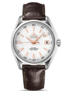 Customised Silver Watch Dial 231.13.42.21.02.002