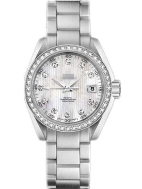 Customize Stainless Steel Watch Belt 231.15.30.20.55.001
