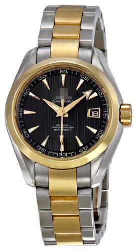 Wholesale Stainless Steel Watch Wristband 231.20.30.20.06.002