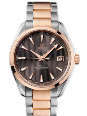Customised Stainless Steel Watch Belt 231.20.42.21.06.001