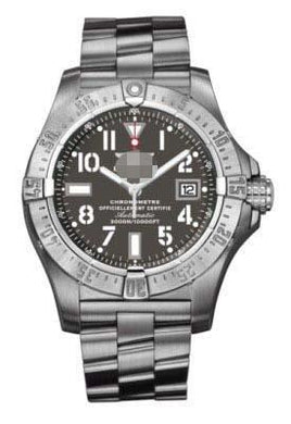 Customised Stainless Steel Watch Bracelets A1733010/F538-SS