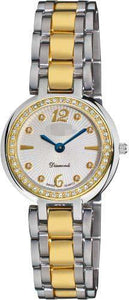 Customized Stainless Steel Watch Belt AK513TTG