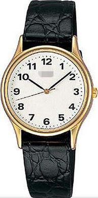 Custom Leather Watch Bands AQBS044