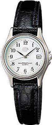Wholesale Leather Watch Bands AQCZ015