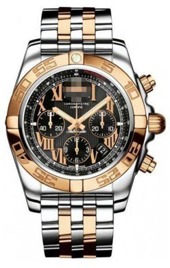 Custom Stainless Steel Watch Bracelets CB011012/B957-TT