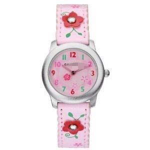 Customised Plastic Watch Bands CK114-14
