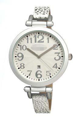 Customized Silver Watch Dial CR0610