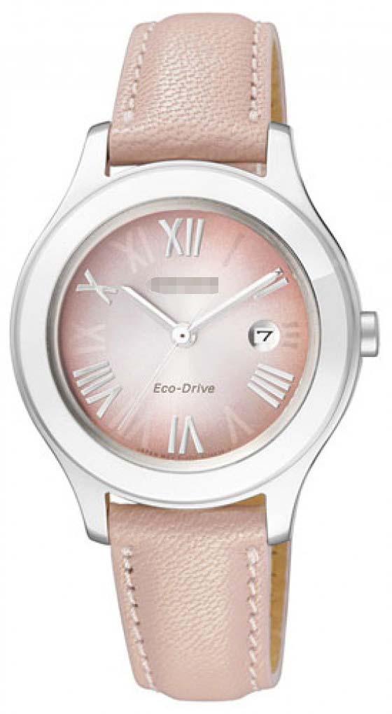 Wholesale Stainless Steel Women FE1040-05W Watch
