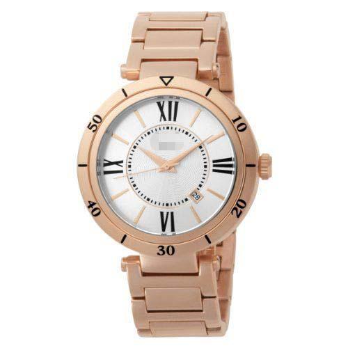 Custom Stainless Steel Watch Belt HA1140RG-9