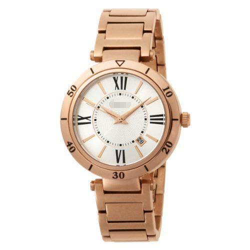 Wholesale Stainless Steel Watch Belt HA1141RG-9