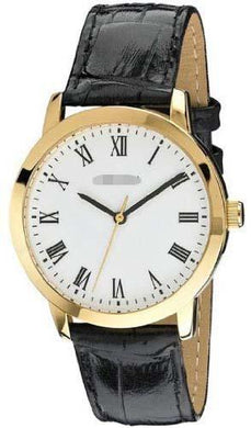 Wholesale Stainless Steel Men MS675WR Watch