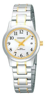 Custom Stainless Steel Watch Bands PH7149