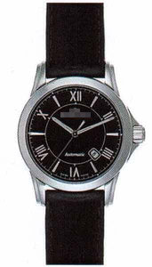 Wholesale Leather Watch Bands PT6044-SS001-310