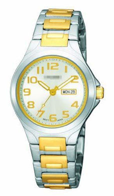 Wholesale Stainless Steel Watch Wristband PXU037