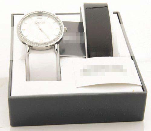 Custom Made Watch Dial RK6007