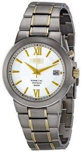 Wholesale Two-Tone Watch Bands SKA485