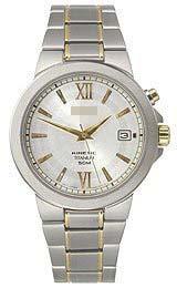 Custom Silver Watch Dial SKA485P1