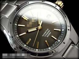 Custom Titanium Watch Bracelets SKA495P1