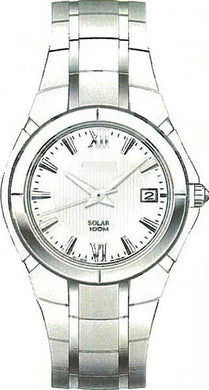Custom Made Watch Dial SNE085P1