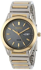 Customized Grey Watch Dial SNE180