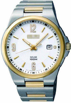 Custom White Watch Dial SNE210