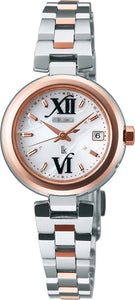 Wholesale Stainless Steel Watch Belt SSVW002