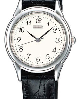 Custom Watch Dial STTC001