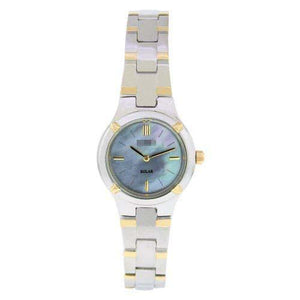 Wholesale Watch Dial SUP066