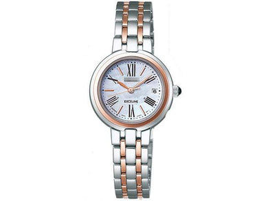 Wholesale Stainless Steel Women SWCW010 Watch