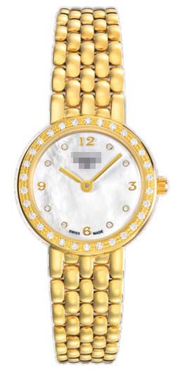Luxury Swiss Watch Supplier