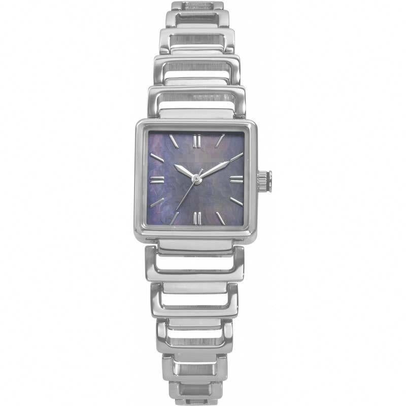 Custom Stainless Steel Watch Belt TE4013