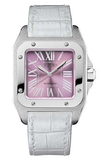 Customize Pink Watch Dial W20133X8