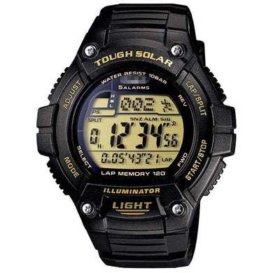 Custom Resin Watch Bands W-S220-9AJF