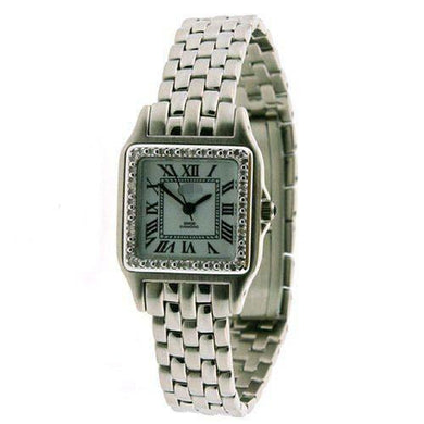 Custom Stainless Steel Watch Bands WDW096819