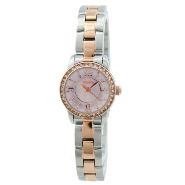 Wholesale Stainless Steel Watch Bands WF0A025BPZ