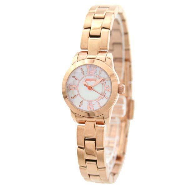 Customize Stainless Steel Watch Bands WF0R025BPW