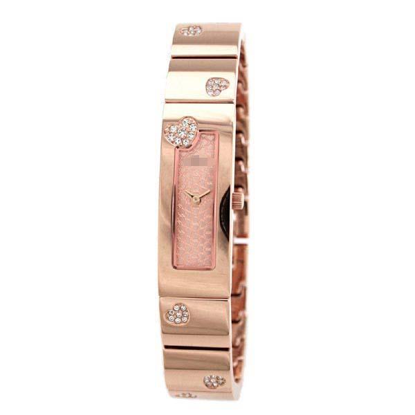 Customization Stainless Steel Watch Bands WF8B061BPP