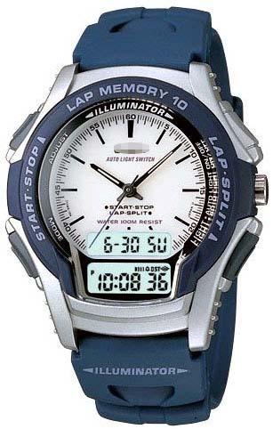 Wholesale Watch Dial WS-300-2EVS